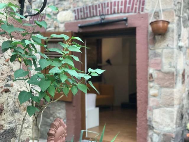 Buedinger Hof Apartment Weinheim Ngoại thất bức ảnh